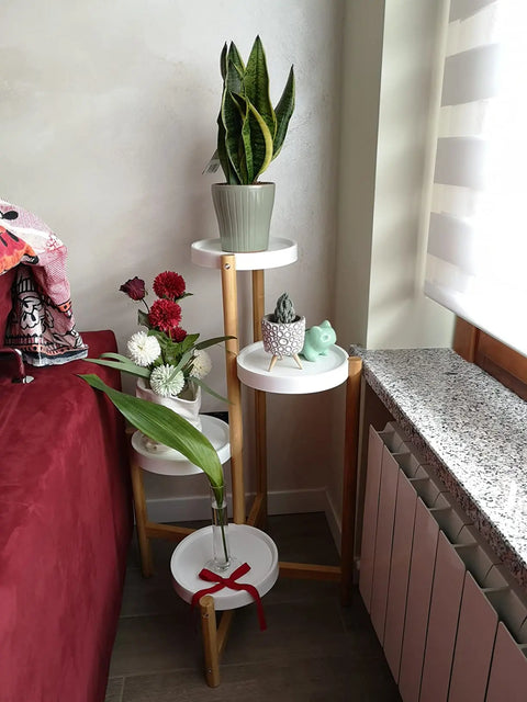 Bamboo plant stand with potted plants beside a window