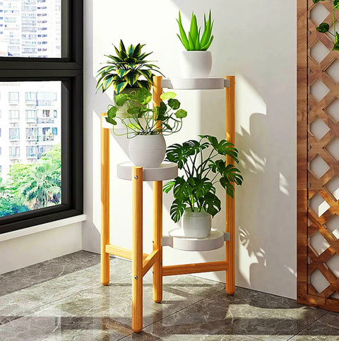 Four-tier bamboo plant stand in a bright living room