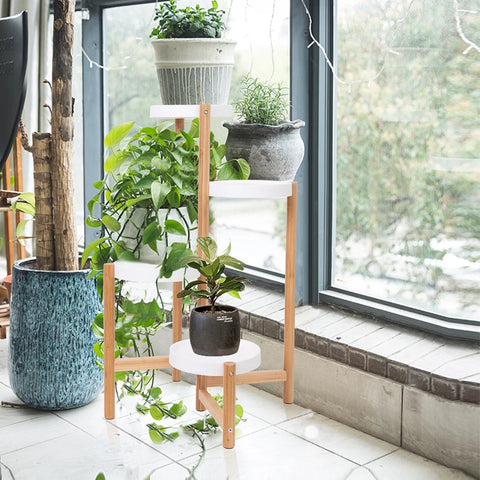Bamboo plant stand with trailing plants beside a window