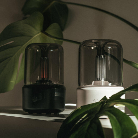 Mistt aroma diffuser in black and white side by side beside monstera leaves