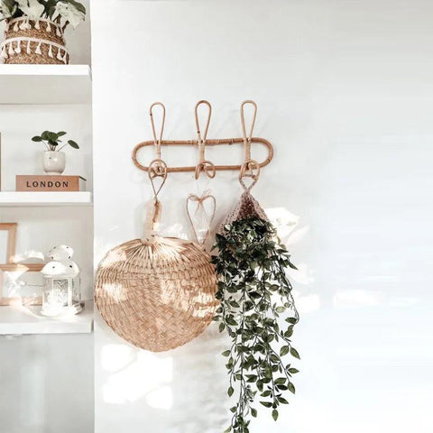 Rattan wall hook rack with a hanging basket and trailing plant
