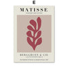 Matisse Magic Canvas Prints