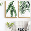 Tropical Canvas Prints