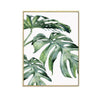 Tropical Canvas Prints