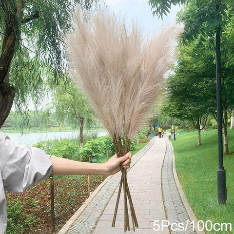 Bunch of ivory pampas grass held up outdoors