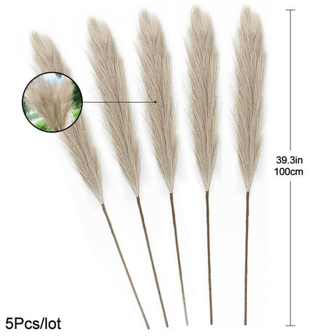 Five pampas grass stems laid out, showing the stem length