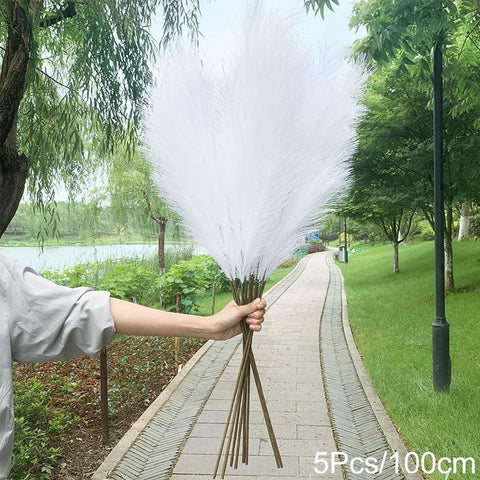 Bunch of white pampas grass held up outdoors