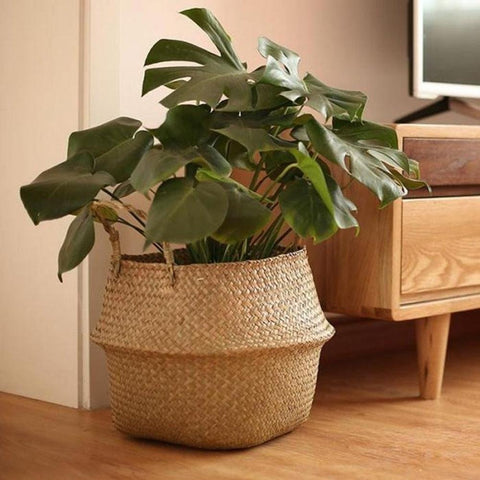 Seagrass planter basket holding a large monstera beside a sideboard